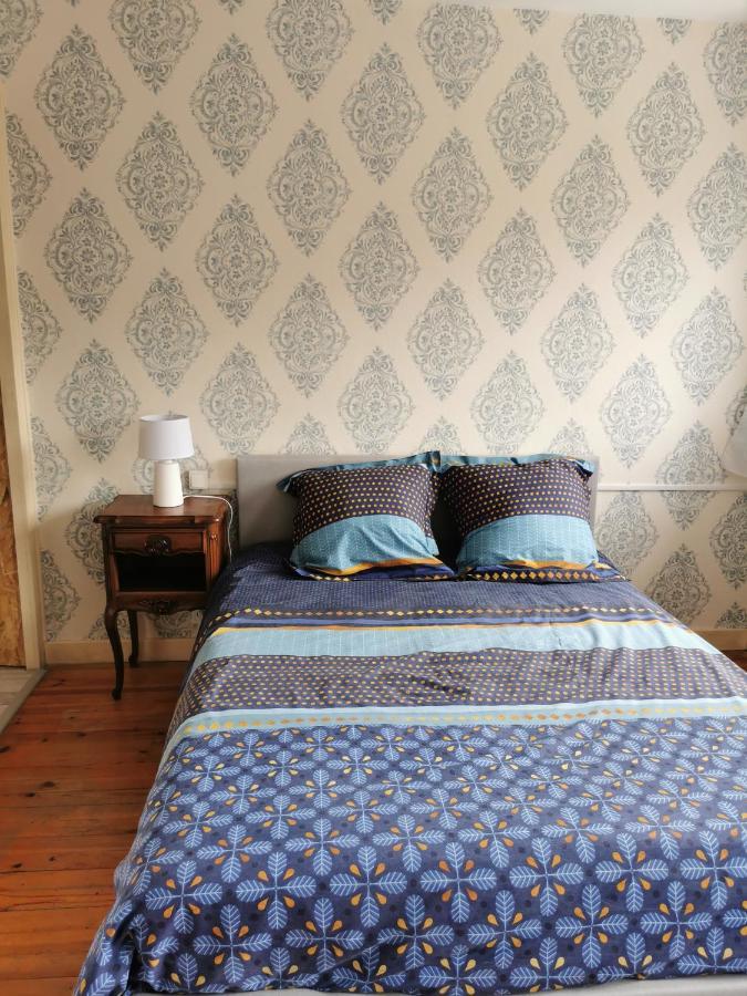 Chambre Privee Dans Appart Partage, Centre Ville, Avec Vue Sur Les Monuments Le Puy-en-Velay المظهر الخارجي الصورة